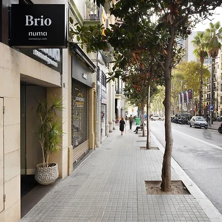 Numa Barcelona Brio-2